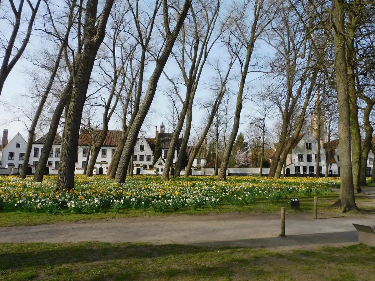 Kruitenberg Bruges 0*,